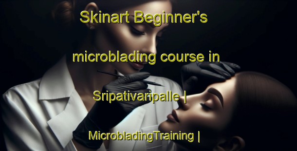 Skinart Beginner's microblading course in Sripativaripalle | MicrobladingTraining | MicrobladingClasses | SkinartTraining-India